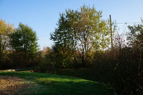 bruehl