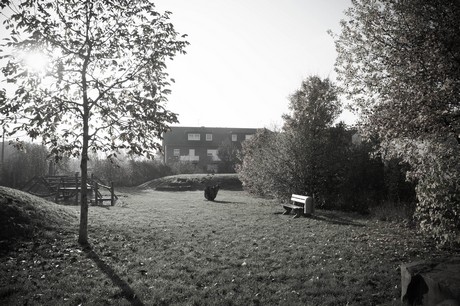 bruehl
