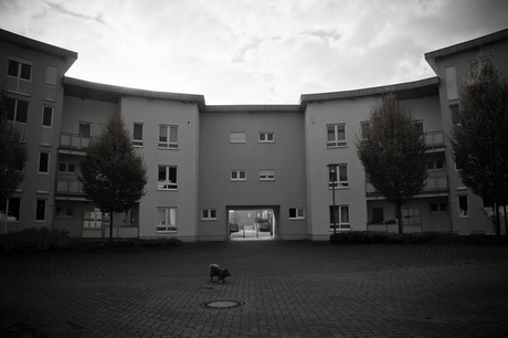 bruehl