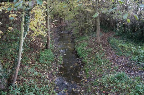 bruehl