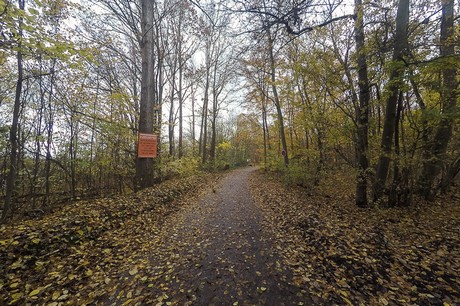 bruehl