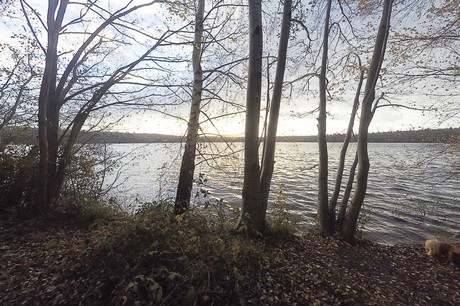 bruehl