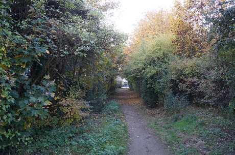 bruehl