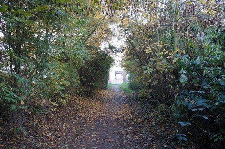 bruehl