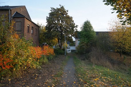 bruehl
