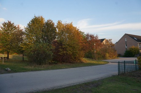 bruehl