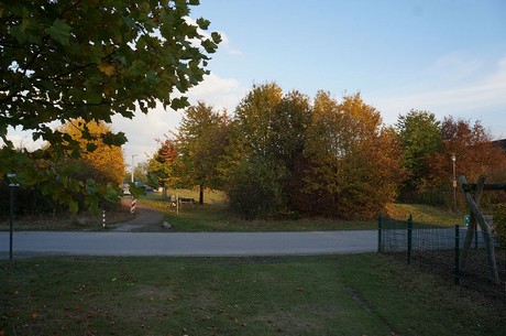 bruehl