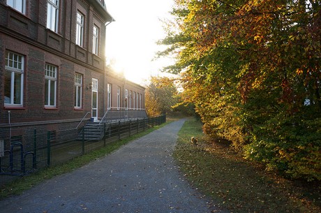 bruehl