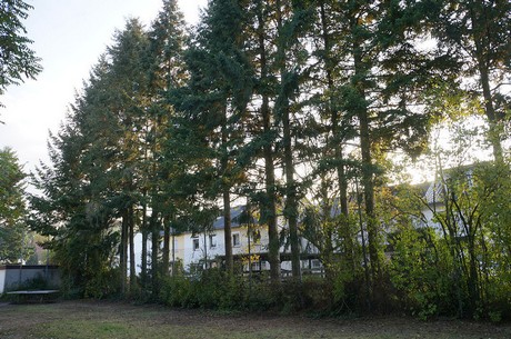 bruehl