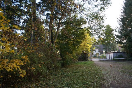 bruehl