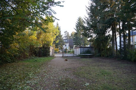 bruehl