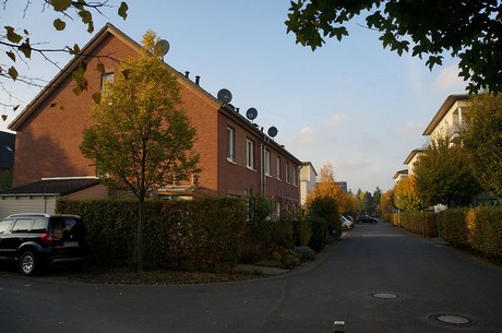 bruehl