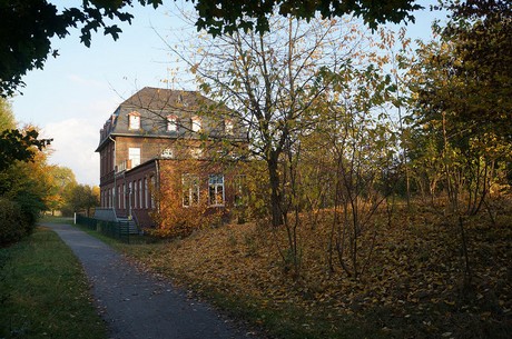 bruehl