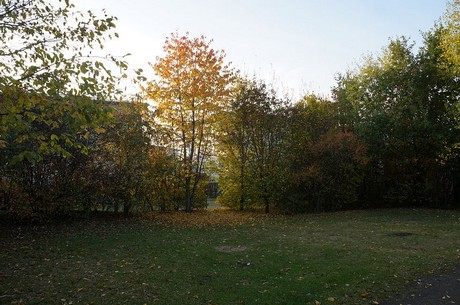 bruehl