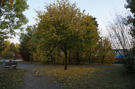 bruehl