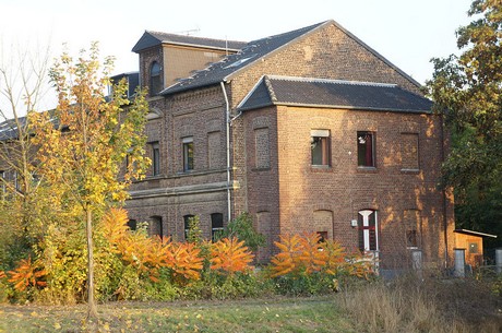 bruehl