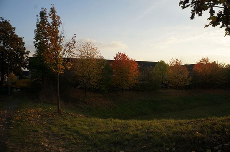 bruehl