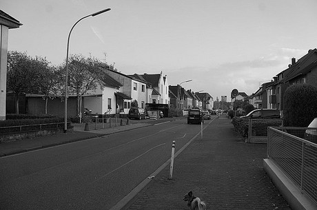 bruehl