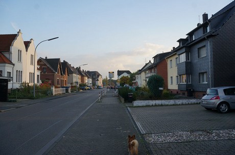 bruehl