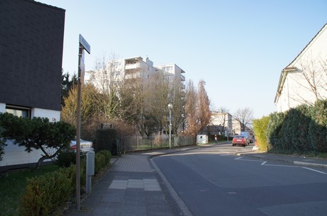 buerrig