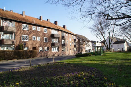 buerrig