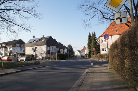 buerrig