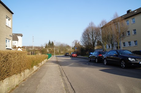 buerrig