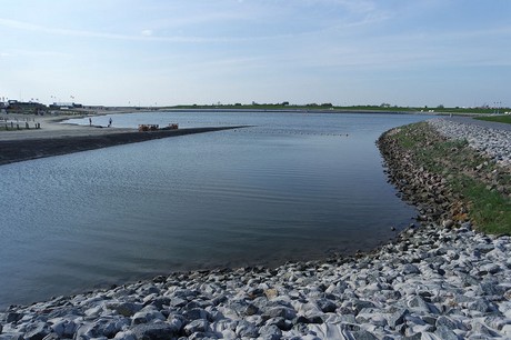 buesum