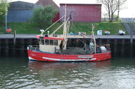 buesum