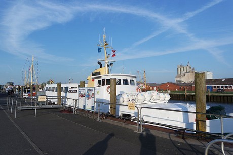 buesum