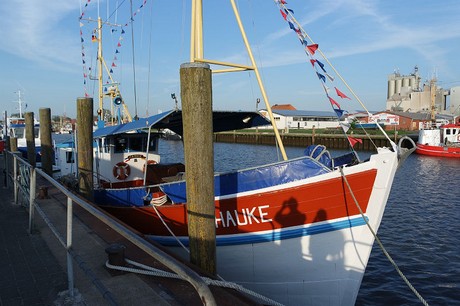 buesum