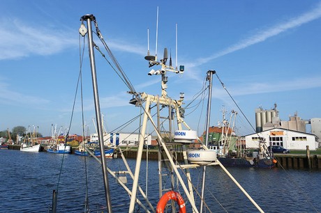 buesum