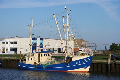 buesum