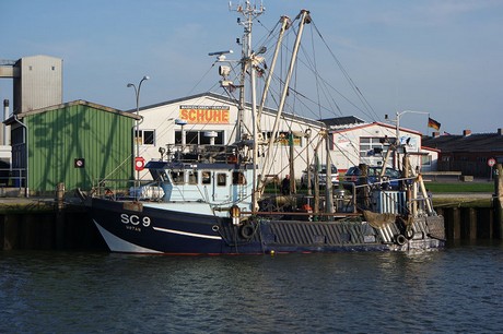 buesum