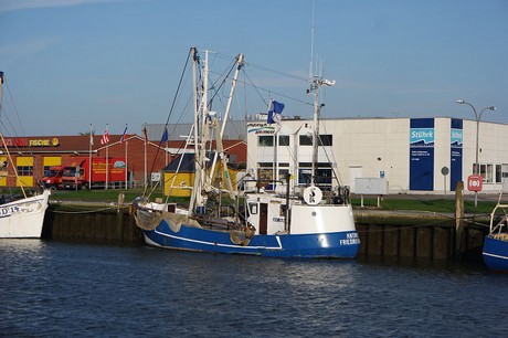 buesum