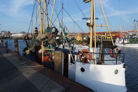buesum