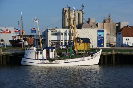 buesum