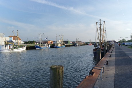 buesum