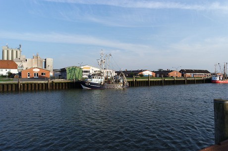 buesum