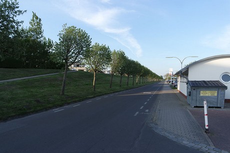 buesum