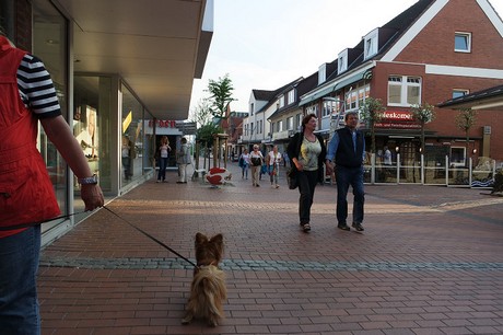 buesum