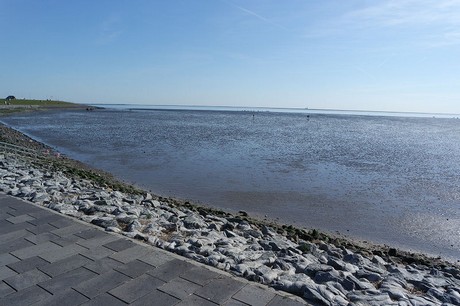 buesum