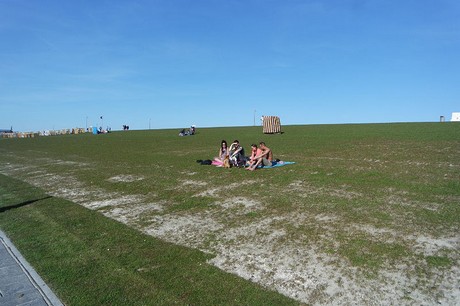 buesum