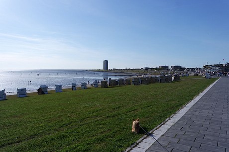 buesum