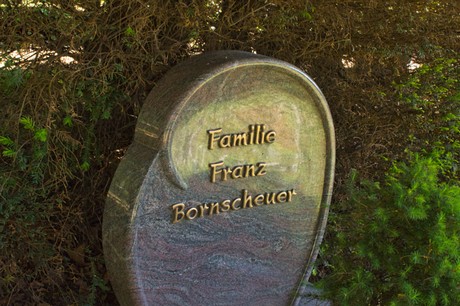 Buschbell