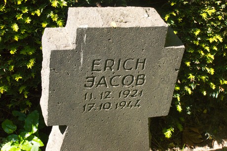 Buschbell