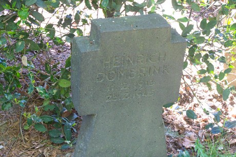 Buschbell