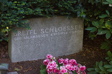 Buschbell