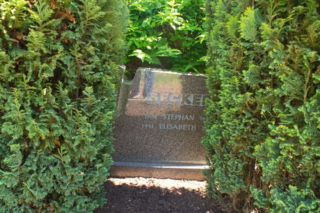 Buschbell