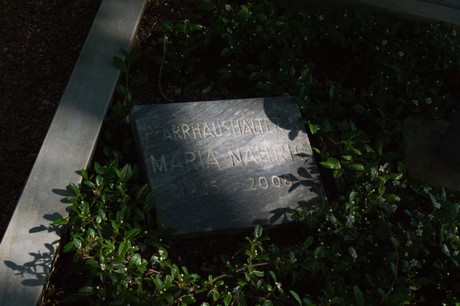 Buschbell